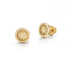 Clear Classic Earrings in Gold