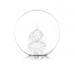 Clear Paperweight