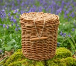 1752056480CSKWEWC38WillowLS.jpg