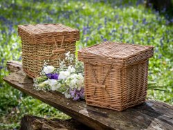 1752057631WillowandWillowBlurushBluebellWoods02WebSize.jpg